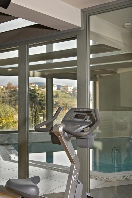 Aegli Arachova Hotel Bagian luar foto