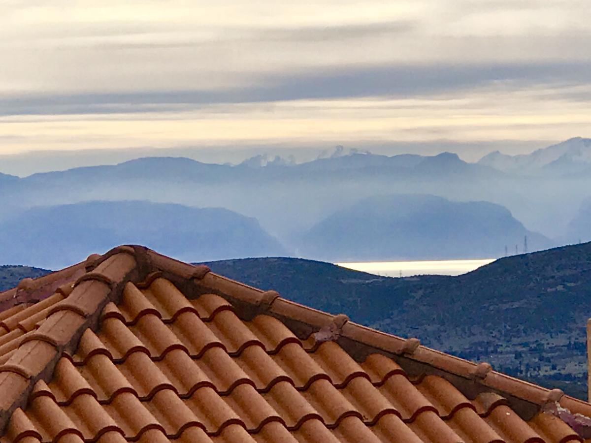 Aegli Arachova Hotel Bagian luar foto